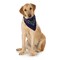 Balec 5-Pack Paisley Cotton Dog Scarf Triangle Bibs - XL & Washable